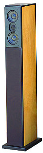 Role Audio Enterprise speaker